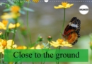 Close to the ground 2019 : Images of insects close to the ground. - Book
