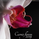 Carnis florem 2019 2019 : Sensuelle et delicate, elle est la reine des fleurs - Book