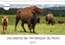 Les bisons de l'Amerique du Nord 2019 : Le bison est le plus grand mammifere sur le continent nord americain - Book