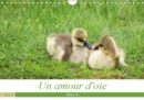 Un amour d'oie 2019 : La vie de mes oies de leurs naissance a aujourd'hui - Book