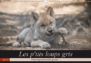 Les p'tits loups gris 2019 : Petit loup deviendra grand ... - Book