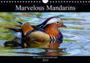 Marvellous Mandarins 2019 : A collection of photos showcasing the extraordinary Mandarin duck. - Book