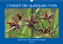 L'instant de quelques mots 2019 : Quand les mots croisent le regard - Book