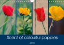 Scent of colourful poppies 2019 : A unique collection of top quality photographs of colourful poppies. - Book