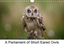 A Parliament of  Short Eared Owls 2019 : Short Eared Owls in the summer breeding season. - Book