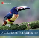 Costa Rica Stars Tropicales 2019 : 12 stars colorees de la faune tropicales du Costa Rica captures dans la nature. - Book