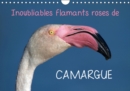Inoubliables flamants roses de Camargue 2019 : Les flamants roses sont des oiseaux magnifiques et majestueux aux couleurs rares. Ils sont ainsi devenus l'embleme inoubliable de la Camargue ! - Book