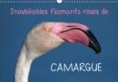 Inoubliables flamants roses de Camargue 2019 : Les flamants roses sont des oiseaux magnifiques et majestueux aux couleurs rares. Ils sont ainsi devenus l'embleme inoubliable de la Camargue ! - Book