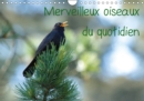 Merveilleux oiseaux du quotidien 2019 : Le quotidien offre tant de merveilles naturelles au travers des oiseaux du jardin. - Book