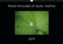 Small miracles of daily routine 2019 : The inspiring year with small miracles sparks from nature routine. - Book