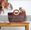 The red squirrel at home 2019 : Joyful days with the red squirrel - Book