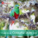 Costa Rica's Colourful Stars 2019 2019 : 12 colourful stars of Costa Rica's tropical fauna captured in the wild - Book