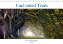 Enchanted Trees Photo Art for Romantics 2019 : Romantic landscape photography of enchanted trees and forests. - Book