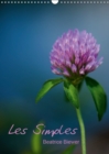Les Simples 2019 : Plantes medicinales et aromatiques - Book