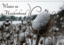 Winter in Maidenhead 2019 : Atmospheric shots of winter taken in and around Maidenhead. - Book