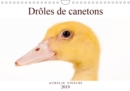 Droles de canetons 2019 : D'adorables canetons - Book