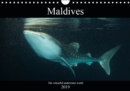 Maldives 2019 : The colourful underwater world - Book