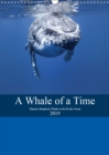 A Whale Of A Time 2019 : Majestic Humpback Whales in the Pacific Ocean - Book