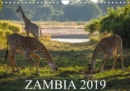 Zambia 2019 : Wilderness between Zambezi, Luangwa Valley and Victoria Falls - Book