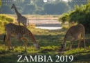 Zambia 2019 : Wilderness between Zambezi, Luangwa Valley and Victoria Falls - Book