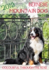 Bernese Mountain Dog - colourful through the year 2019 : Portraits of a bernese mountain dog - Book