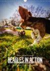 Beagles in action 2019 : The wild side of these cuddly creatures - Book