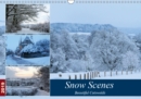 Snow Scenes 2019 : Winter scenes in the beautiful Cotswolds - Book