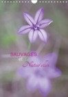 Sauvages & natur'elles 2019 : Fleurs sauvages en pleine nature. - Book