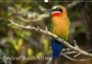 Birds of South Africa 2019 : Variety of Birds from South Africa - Book