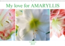 My love for AMARYLLIS 2019 : Majestic flowers with impressive stamens - Book