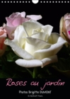 Roses au jardin 2019 : Promenade sous les rosiers au soleil du midi - Book