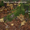 Rainforest Mushrooms 2019 : A 12-month calendar displaying some mushrooms found in the rainforests on Vancouver Island. - Book