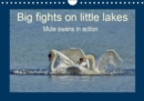 Big fights on little lakes 2019 : Mute swans in action - Book