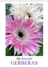 My love for Gerberas 2019 : A photographic homage to the beauty and variety of gerberas - Book