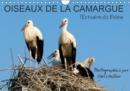 Oiseaux de la Camargue: l'Estuaire du Rhone 2019 : Un panorama remarquable des oiseaux aquatiques qui peuplent le delta de la Camargue - Book