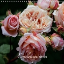Enjoleuses roses 2019 : Calendrier de photos de roses inedites - Book