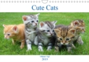 Cute Cats 2019 : Cats, cats, cats... - Book
