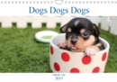 Dogs Dogs Dogs 2019 : A monthly calendar featuring dogs - Book