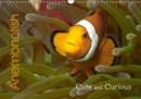 Anemonefish 2019 : Cute and Curious - Book
