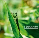 L'insecte 2019 : L'univers des insectes - Book