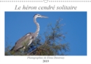 Le heron cendre solitaire 2019 : L'elegant heron cendre dans differentes situations de son quotidien. - Book
