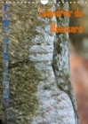Calendrier du Bleausard 2019 : Le calendrier de tous les grimpeurs fans d'escalade a Fontainebleau - Book