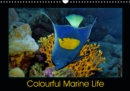 Colourful Marine Life 2019 : Brightly coloured underwater world - Book
