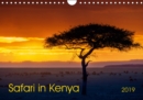 Safari in Kenya 2019 : Landscapes and wildlife of southern Kenya - Book