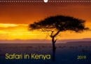 Safari in Kenya 2019 : Landscapes and wildlife of southern Kenya - Book