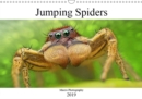 Jumping Spiders 2019 : Macro Photography - Book