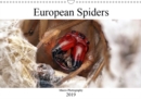 European Spiders 2019 : Macro Photography - Book