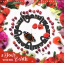 A Year with the Earth 2019 : 12 mandalas composed of natural found elements and critters - Book