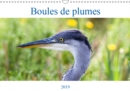 Boules de plumes 2019 : Oiseaux sauvages de la foret de Fontainebleau - Book