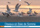 Oiseaux en Baie de Somme 2019 : Les oiseaux de la baie de Somme en action ! - Book